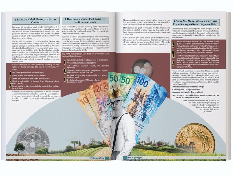The Dollar Downfall - Survival Guide for The Next Great Depression