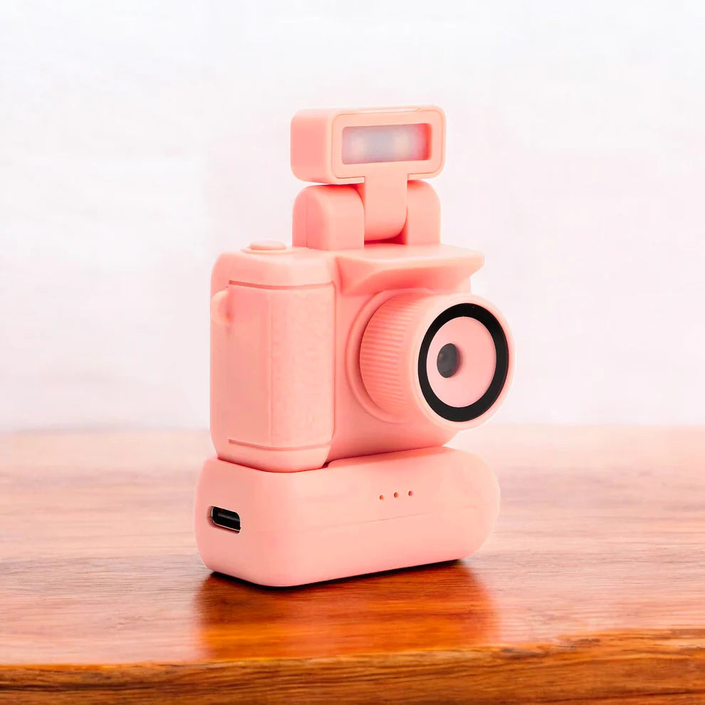 Flashback Mini Cam