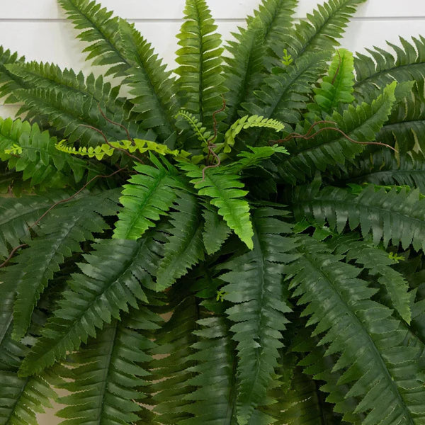 UV Resistant Artificial Boston Fern