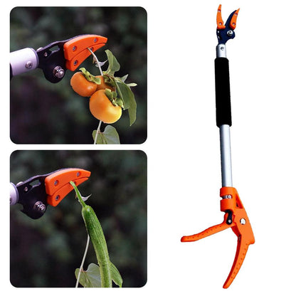 Garden Persimmon Grape Peach Tree Branch Durable Long Shearing Tool