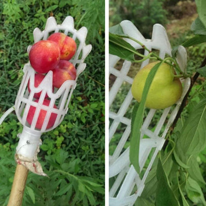 Elevated Apple Harvesting Tool - High-Reach Fruit Picker - Complimentary Shipping