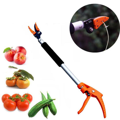 Garden Persimmon Grape Peach Tree Branch Durable Long Shearing Tool