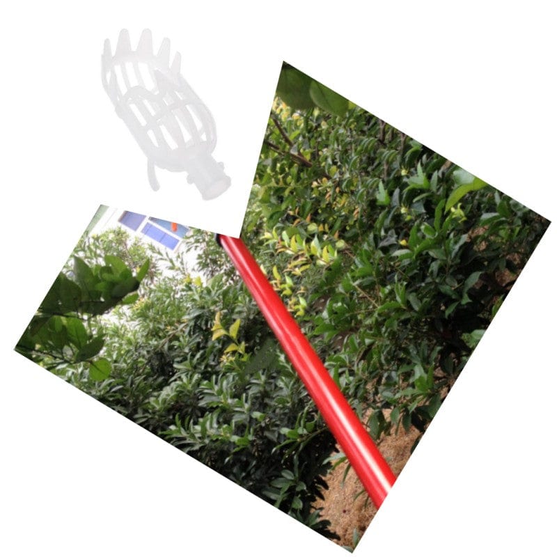 Elevated Apple Harvesting Tool - High-Reach Fruit Picker - Complimentary Shipping