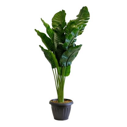 Artificial Palm Plant - LndmarkClub USA