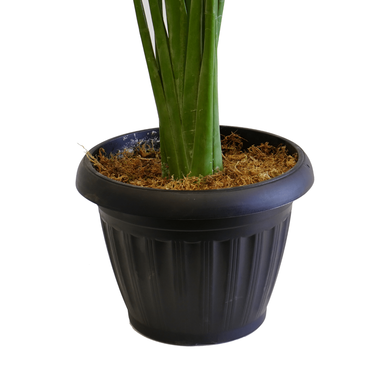 Artificial Palm Plant - LndmarkClub USA