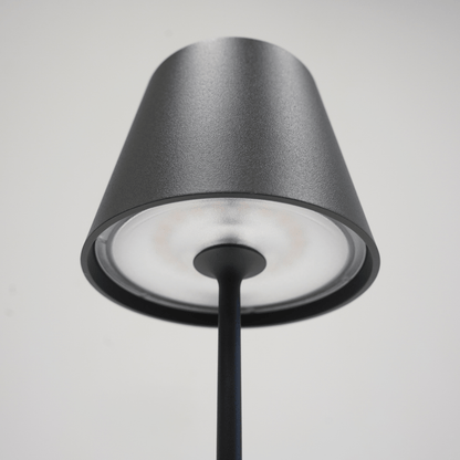 Poldina Pro Dark Grey Cordless Lamp - LndmarkClub USA