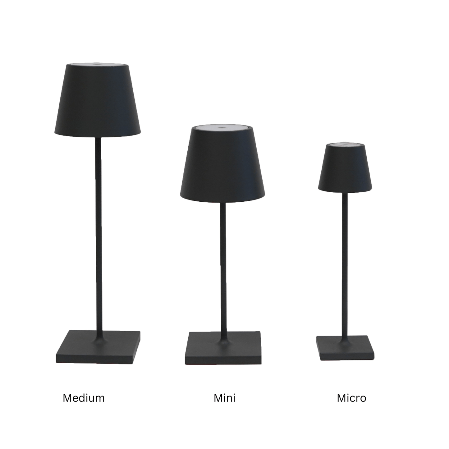 Poldina Pro Dark Grey Cordless Lamp - LndmarkClub USA