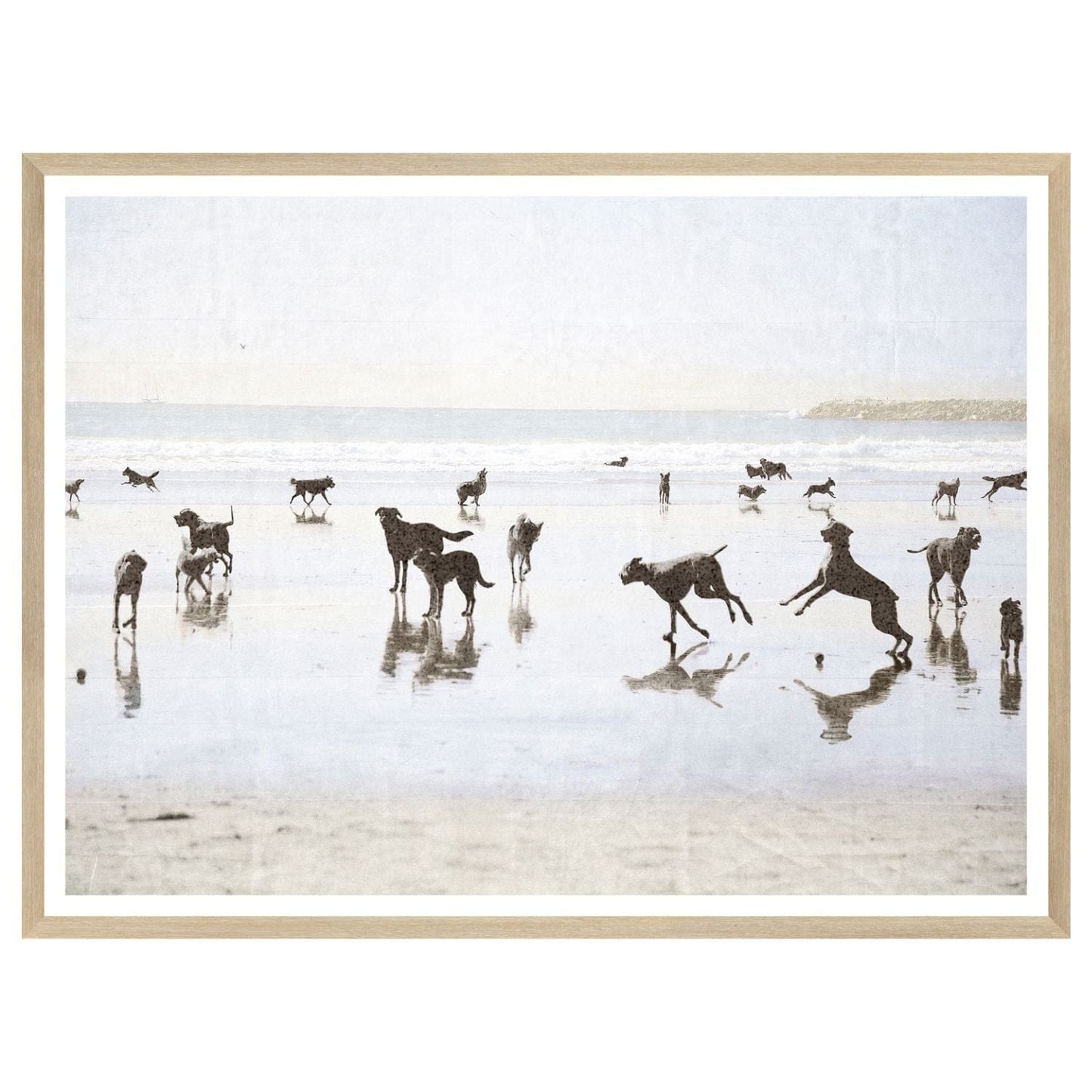 Beach Dog Wall Art - LndmarkClub USA