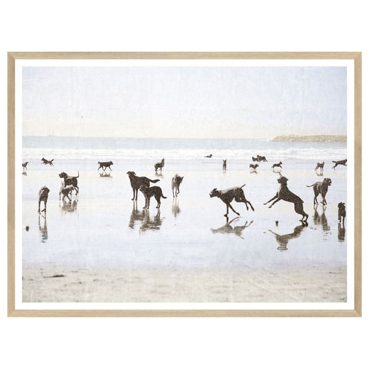 Beach Dog Wall Art - LndmarkClub USA