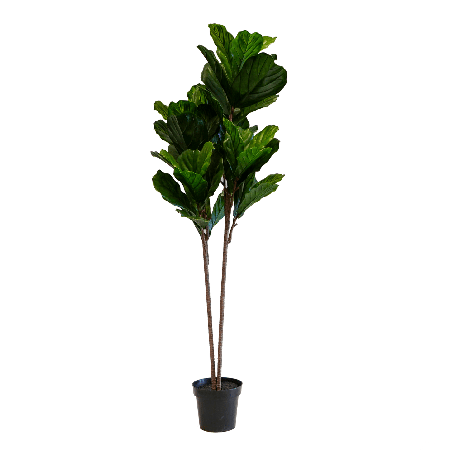 Artificial Fiddle Leaf Tree - LndmarkClub USA