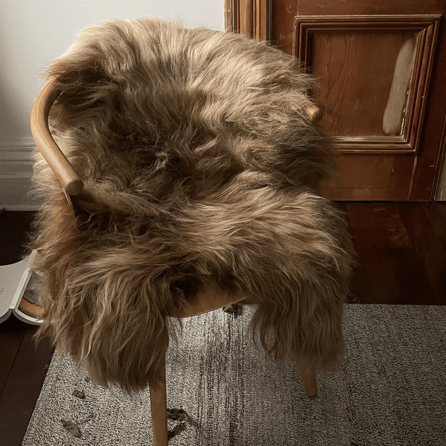 Shorn Caramel Brown Long Hair Sheepskin Throw