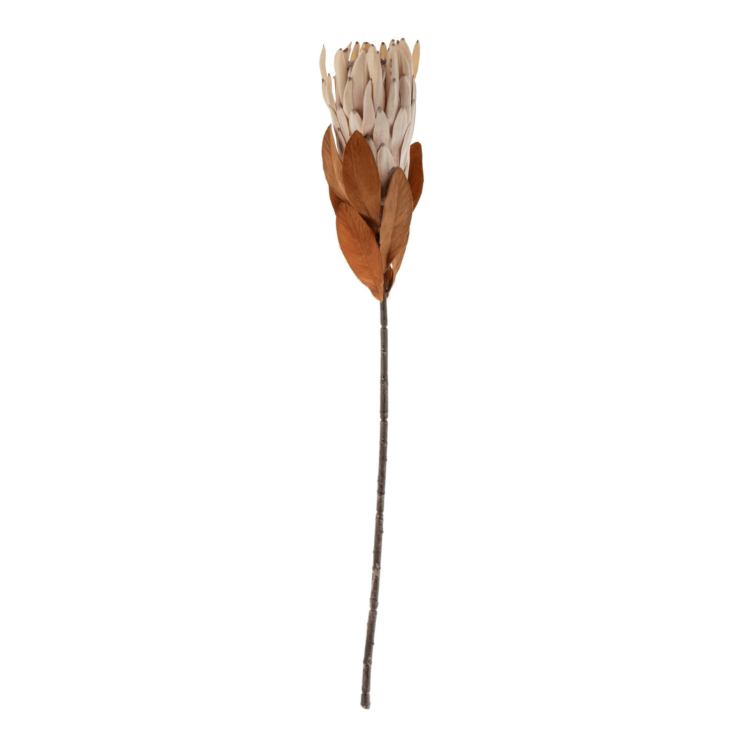 Artificial Protea Sprig - LndmarkClub USA