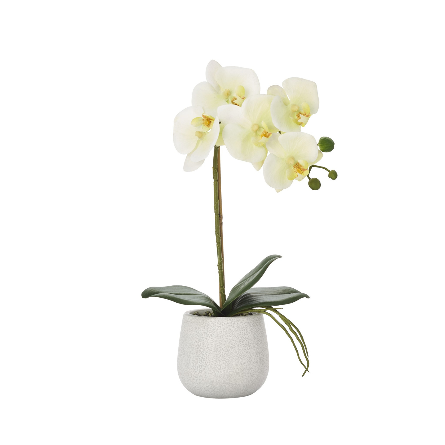 Decorative Faux Orchid - LndmarkClub USA