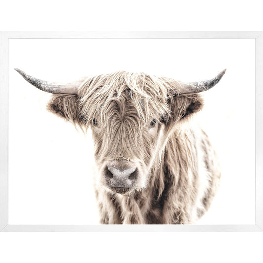 Highland Cow Large Wall Art - LndmarkClub USA