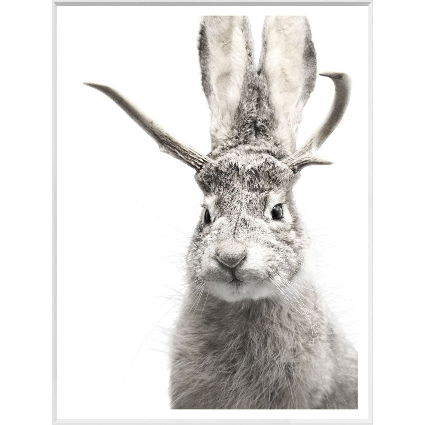 Jackalope Large Wall Art - LndmarkClub USA