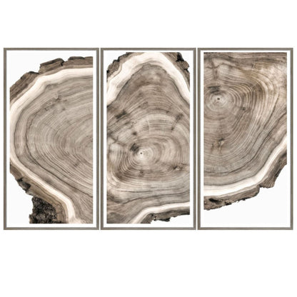 Live Edge Wall Art - Set of 3 - LndmarkClub USA