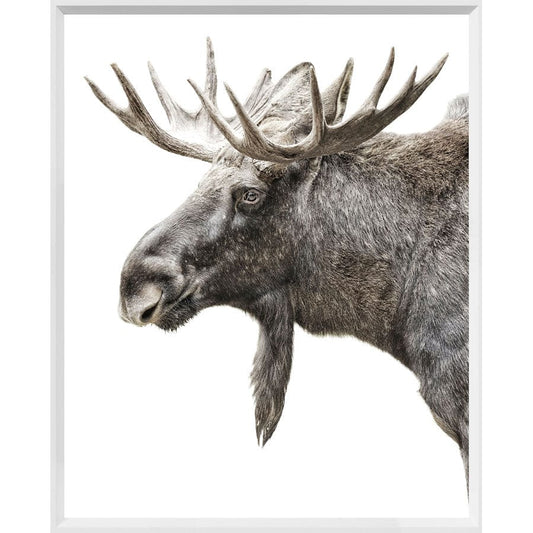 Regal Algonquin Moose Canvas Decor - LndmarkClub USA