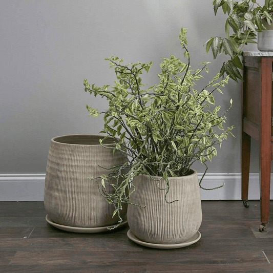 Terrene Ceramic Pot - LndmarkClub USA