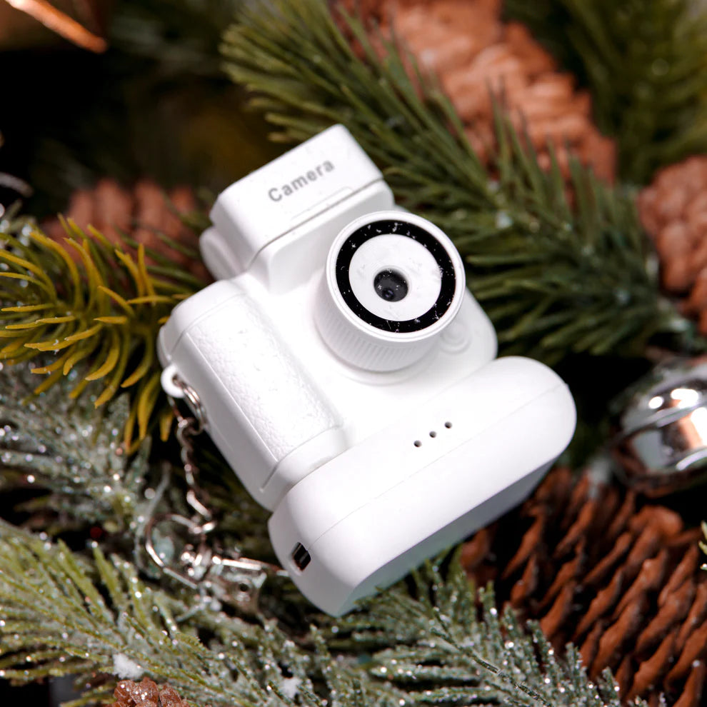 Flashback Mini Cam