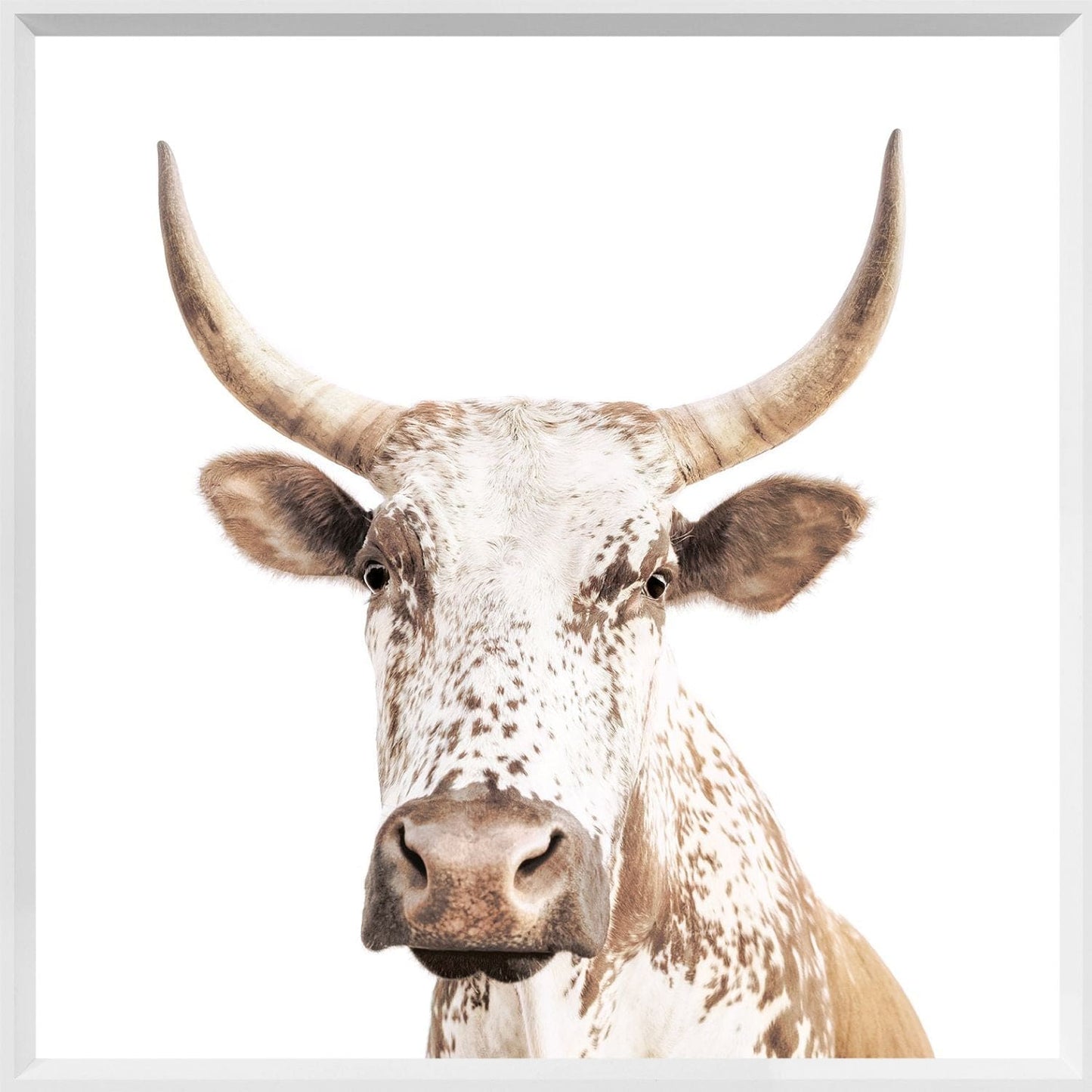 The Cordial Cow Wall Art - LndmarkClub USA