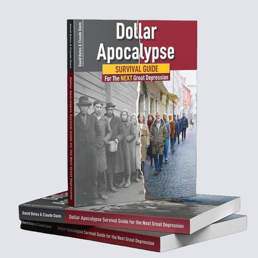 The Dollar Downfall - Survival Guide for The Next Great Depression