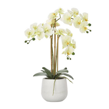 Decorative Faux Orchid - LndmarkClub USA