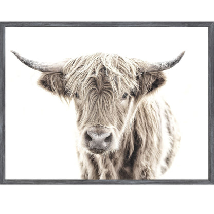 Highland Cow Small Wall Art - LndmarkClub USA