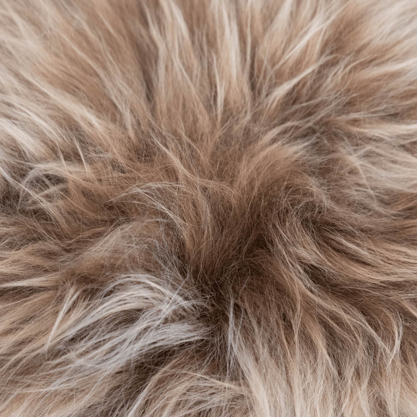 Shorn Caramel Brown Long Hair Sheepskin Chair Pad