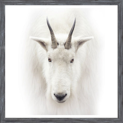 Mountain Goat Small Wall Art - LndmarkClub USA