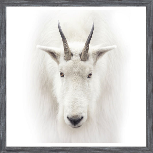 Mountain Goat Small Wall Art - LndmarkClub USA